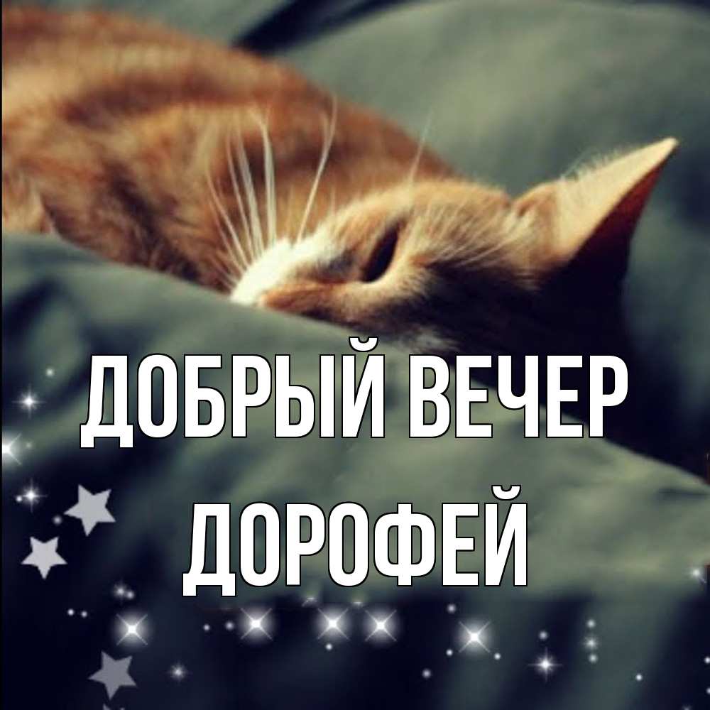 Открытка  с именем. Дорофей, Добрый вечер  
