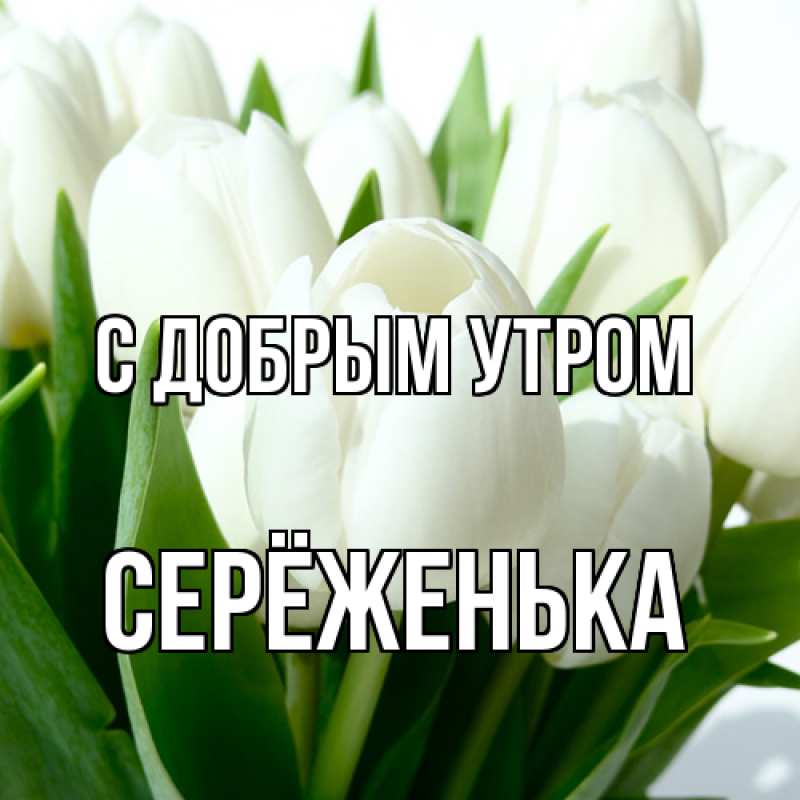 Картинка С добрым утром, Серёженька