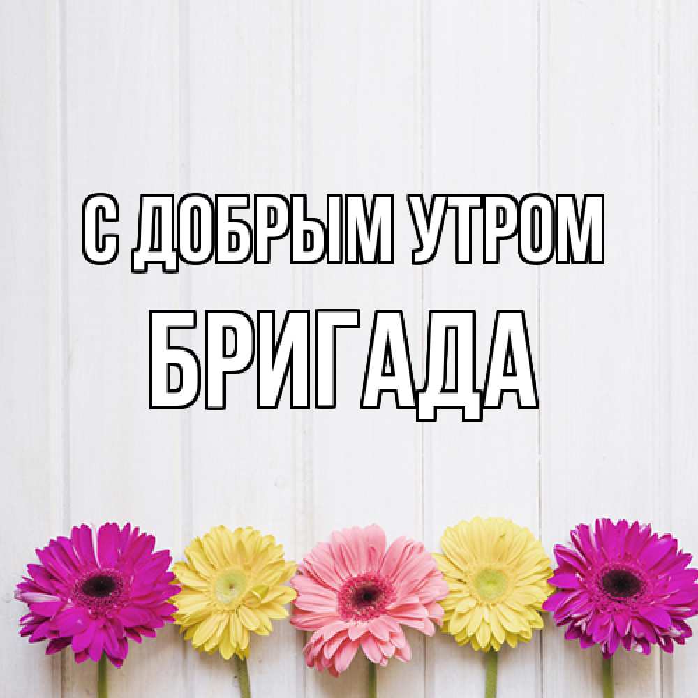 Открытка  с именем. Бригада, С добрым утром  