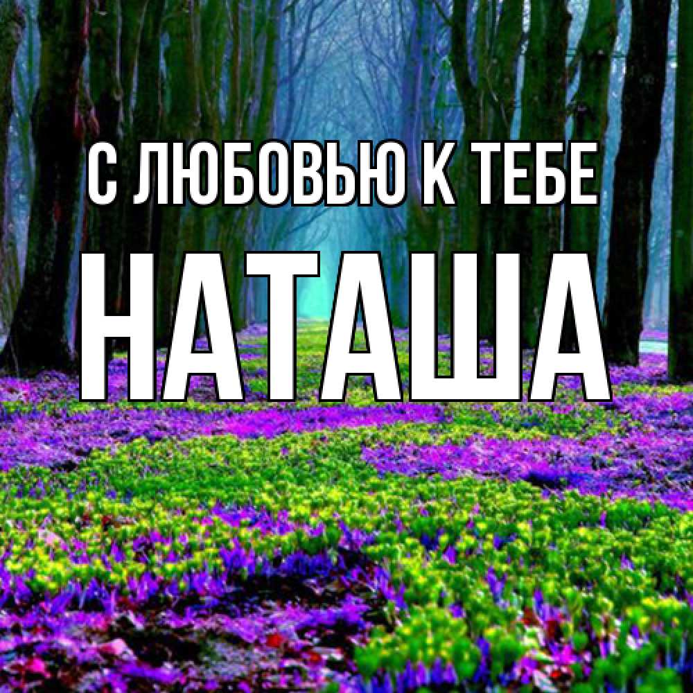 Открытка  с именем. Наташа, С любовью к тебе  