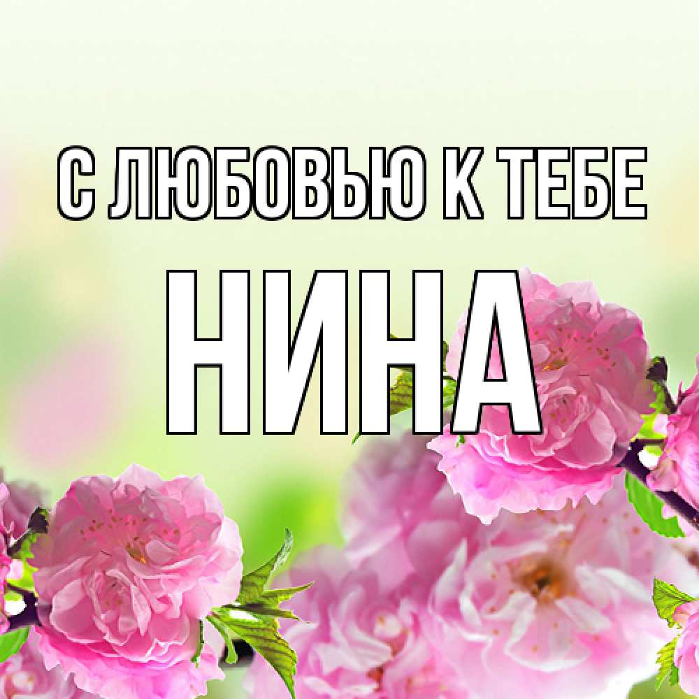 Открытка  с именем. Нина, С любовью к тебе  