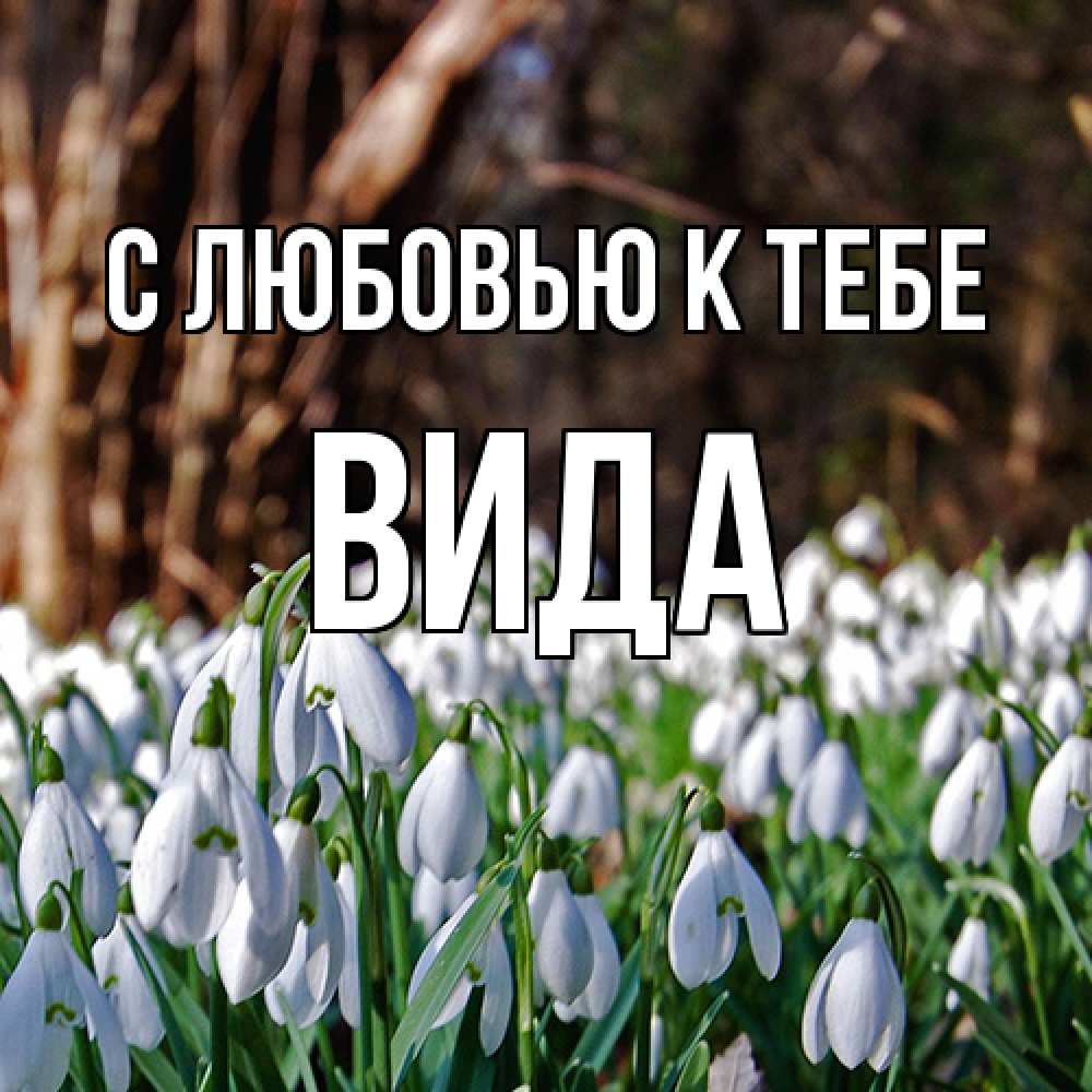Открытка  с именем. Вида, С любовью к тебе  