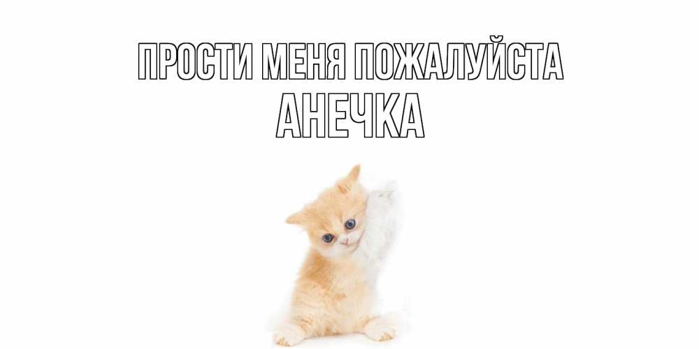 Открытка  с именем. анечка, Прости меня пожалуйста  