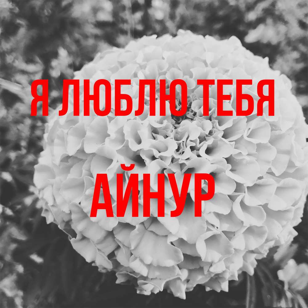 Открытка  с именем. Айнур, Я люблю тебя  