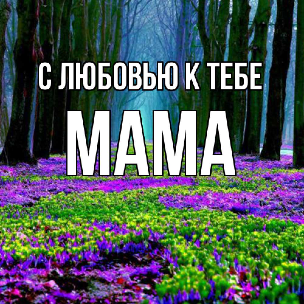 Открытка  с именем. Мама, С любовью к тебе  