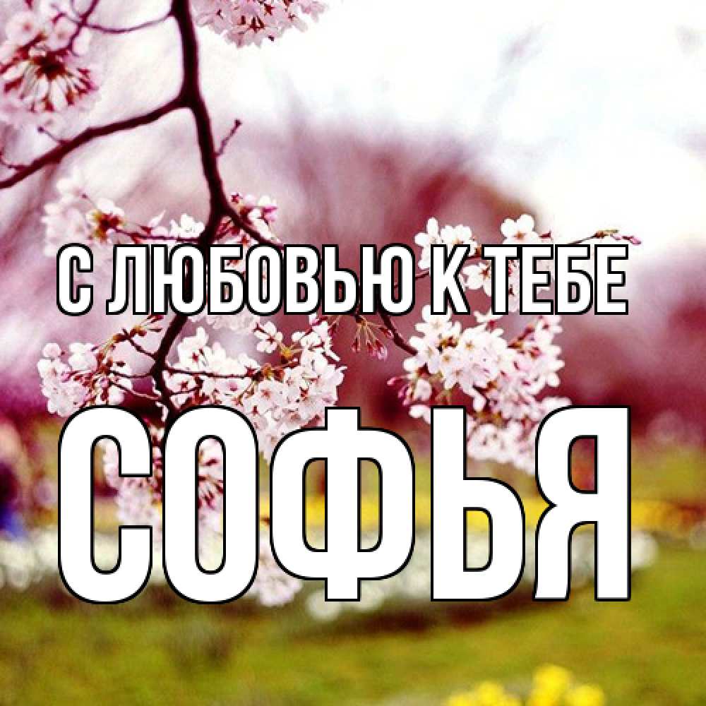 Открытка  с именем. Софья, С любовью к тебе  