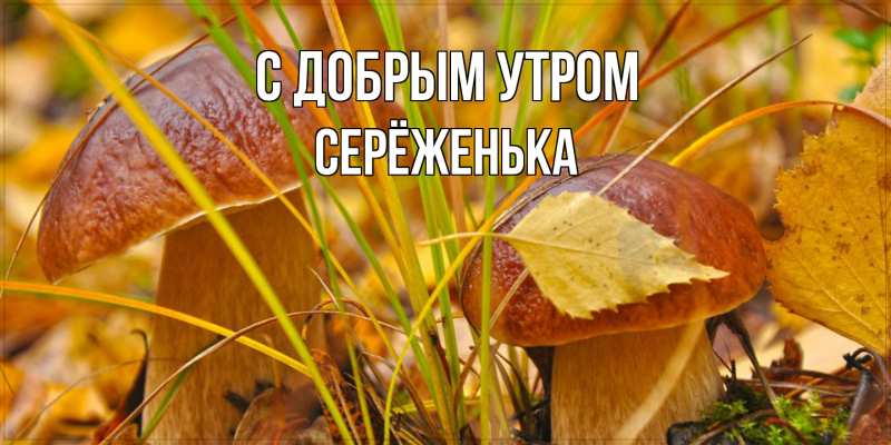 Картинка С добрым утром, Серёженька