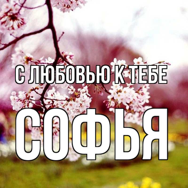 Картинка С любовью к тебе, Софья