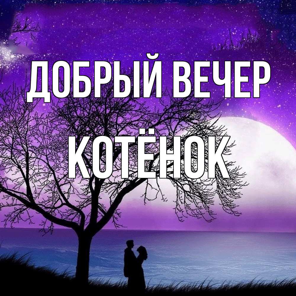 Открытка  с именем. Котёнок, Добрый вечер  