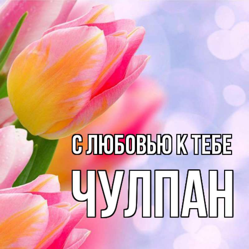 Картинка С любовью к тебе, Чулпан