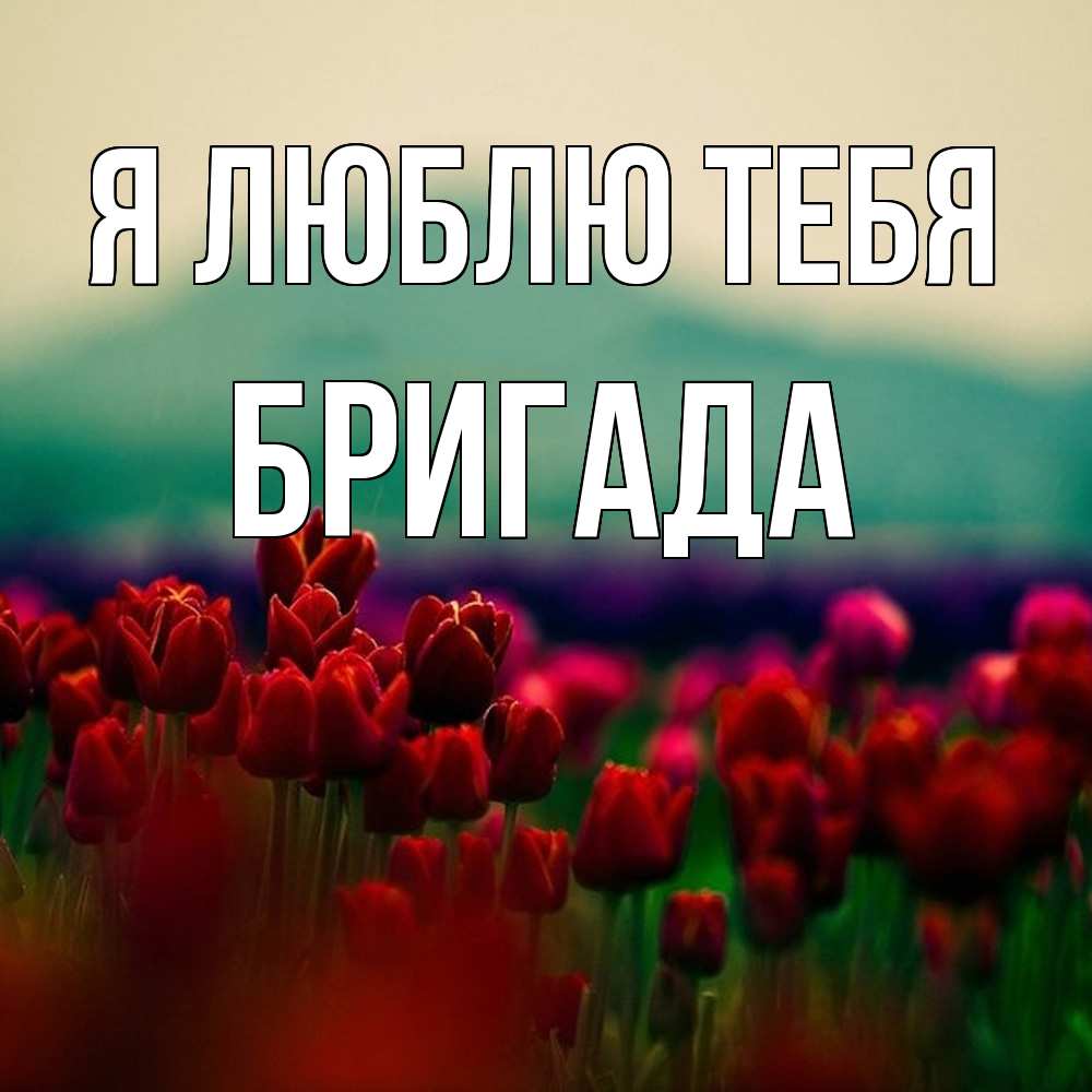 Открытка  с именем. Бригада, Я люблю тебя  