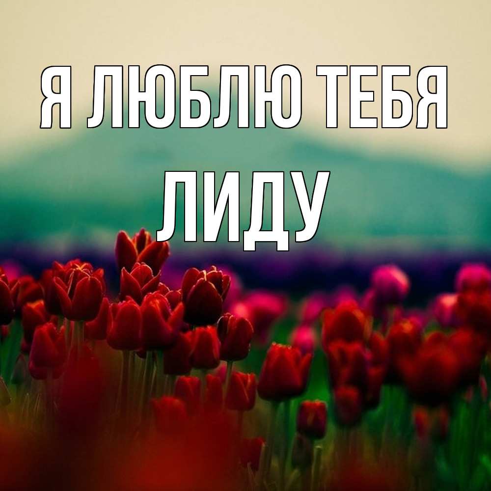 Открытка  с именем. Лиду, Я люблю тебя  