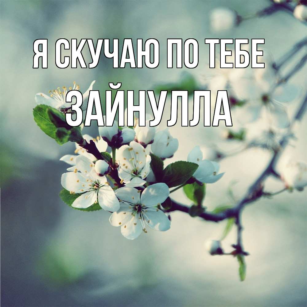 Открытка  с именем. Зайнулла, Я скучаю по тебе  
