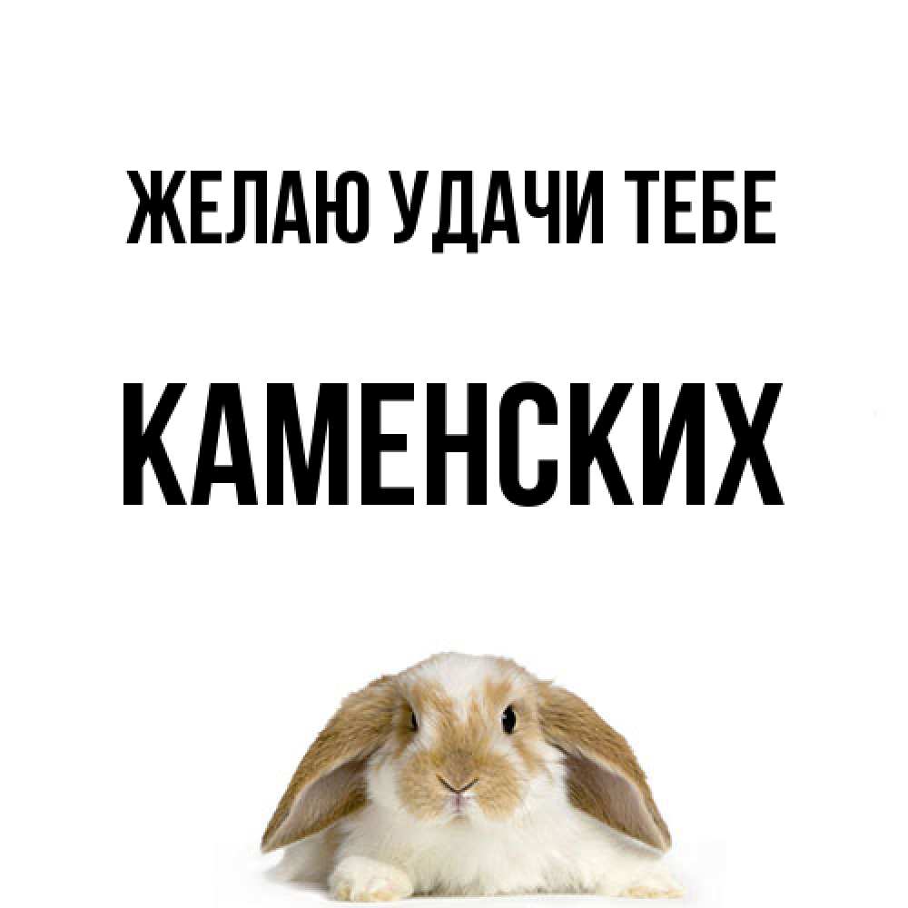 Открытка  с именем. Каменских, Желаю удачи тебе  