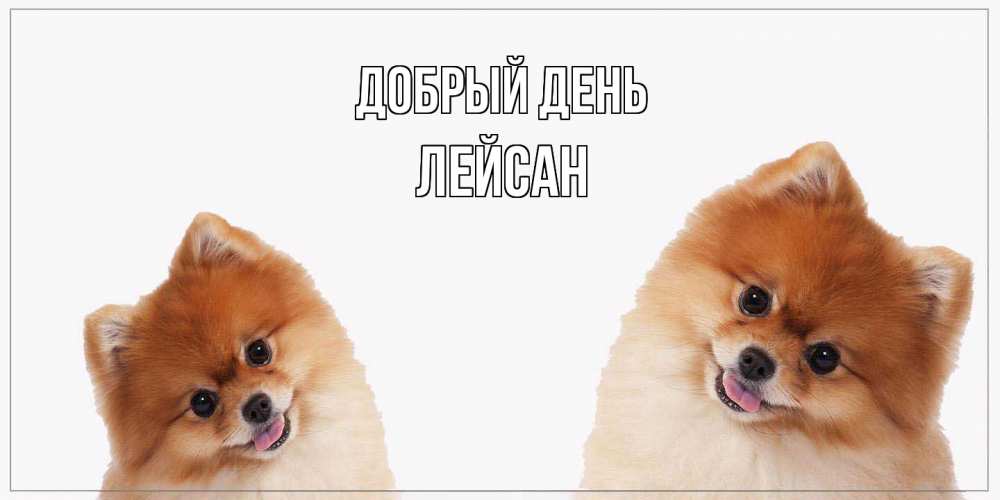 Открытка  с именем. Лейсан, Добрый день  