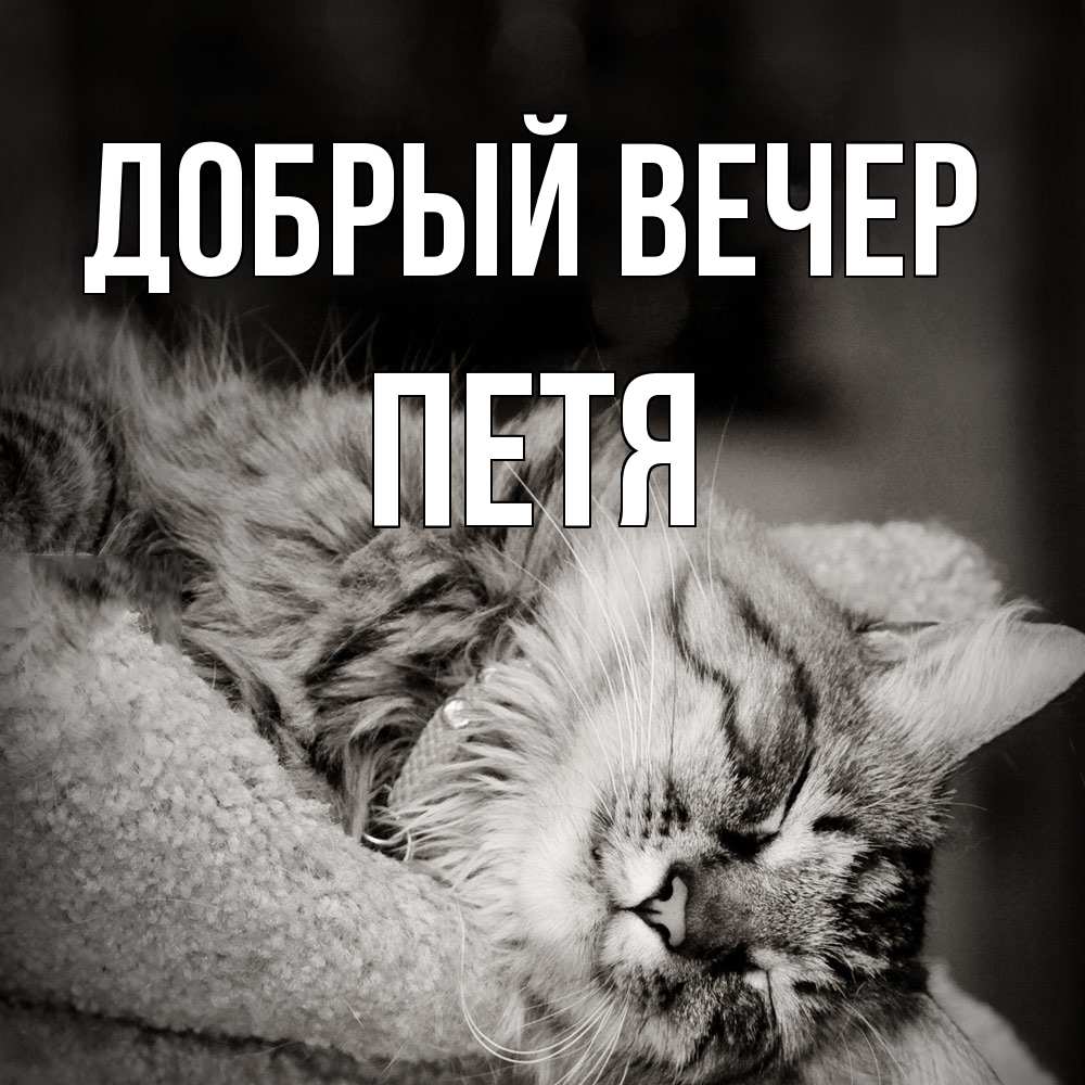 Открытка  с именем. Петя, Добрый вечер  