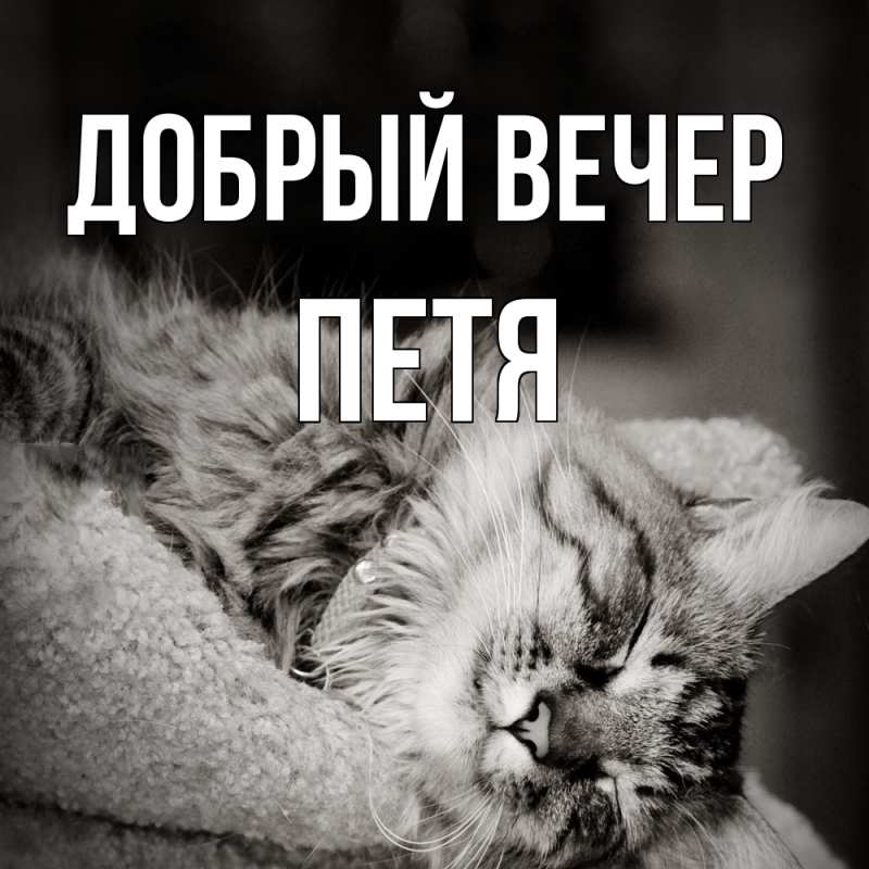 Картинка Добрый вечер, Петя