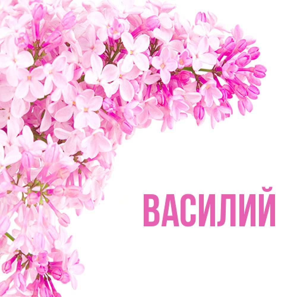 Открытка  с именем. Василий, Главная  