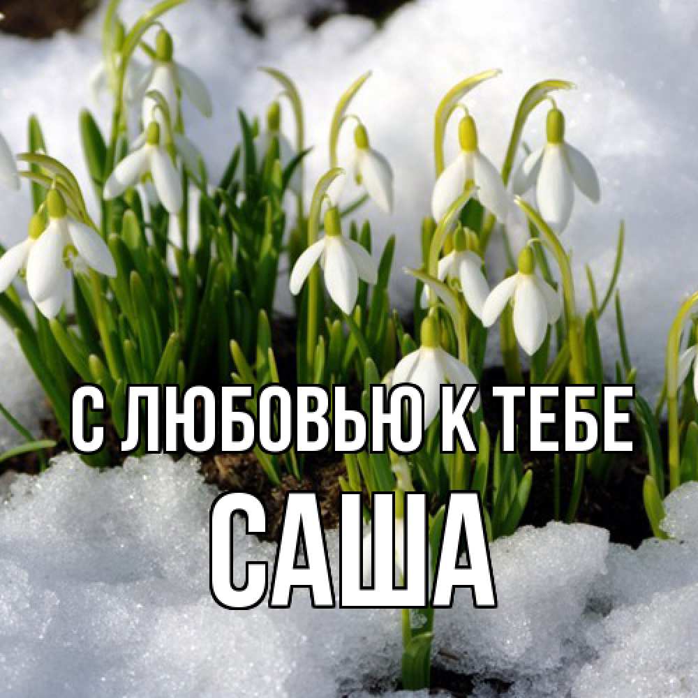 Открытка  с именем. Саша, С любовью к тебе  