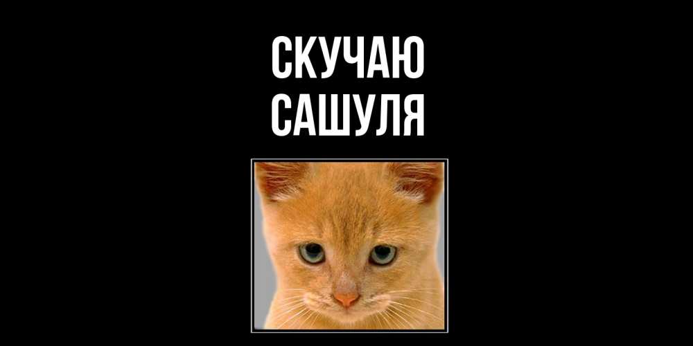 Открытка  с именем. Сашуля, Скучаю  