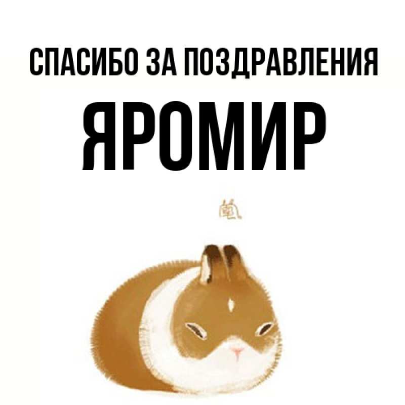 Картинка Спасибо за поздравления, Яромир