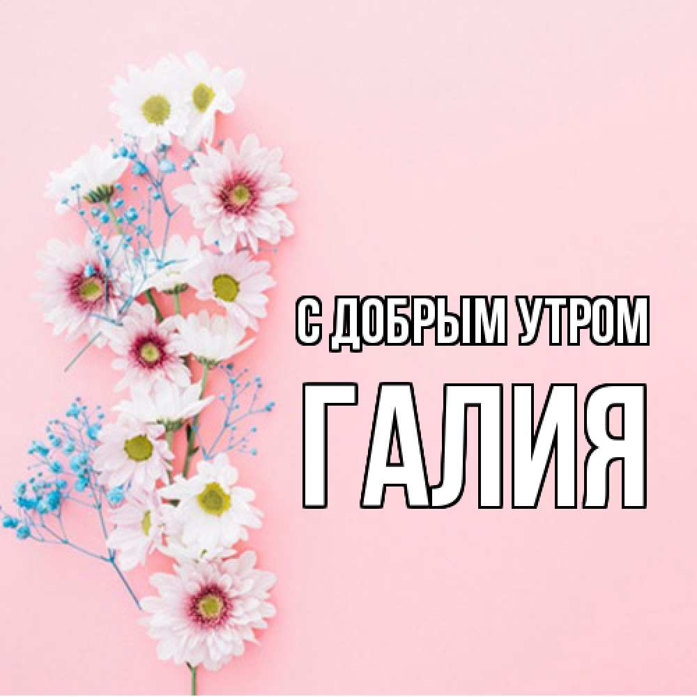 Открытка  с именем. Галия, С добрым утром  