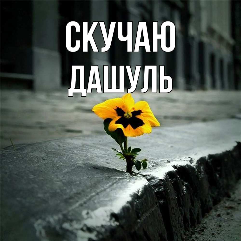 Открытка  с именем. Дашуль, Скучаю  