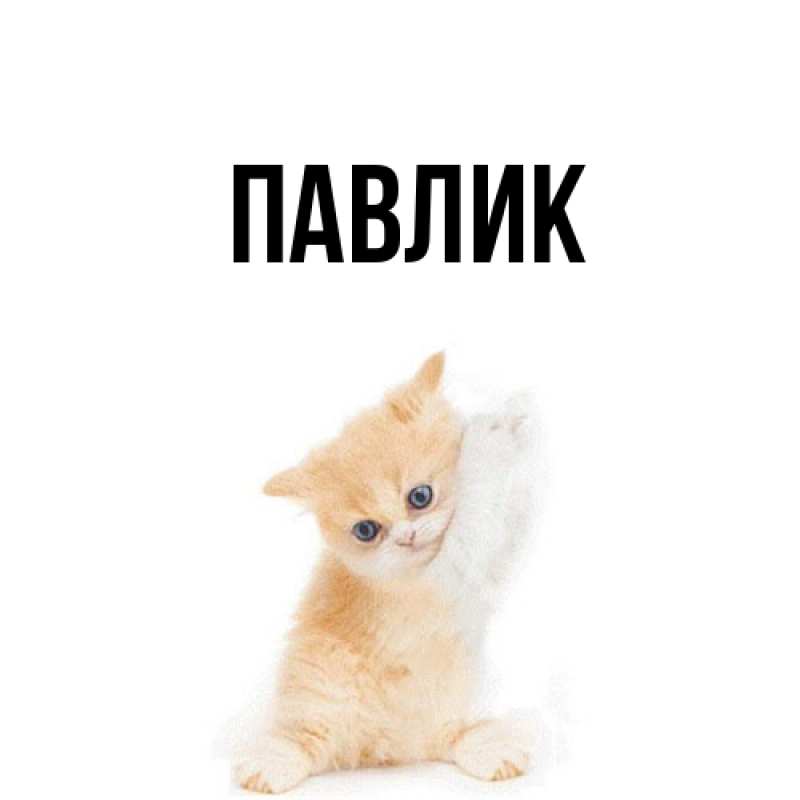 Картинка  с именем , Павлик