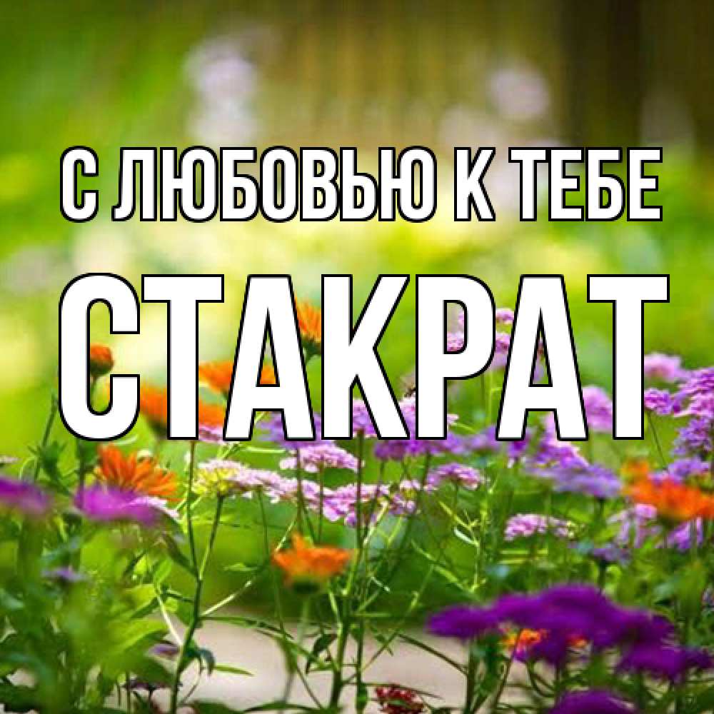 Открытка  с именем. Стакрат, С любовью к тебе  