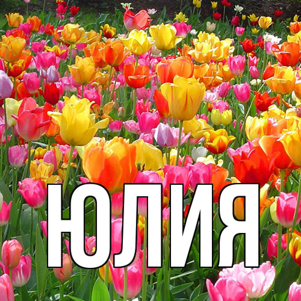 Открытка  с именем. Юлия, Главная  