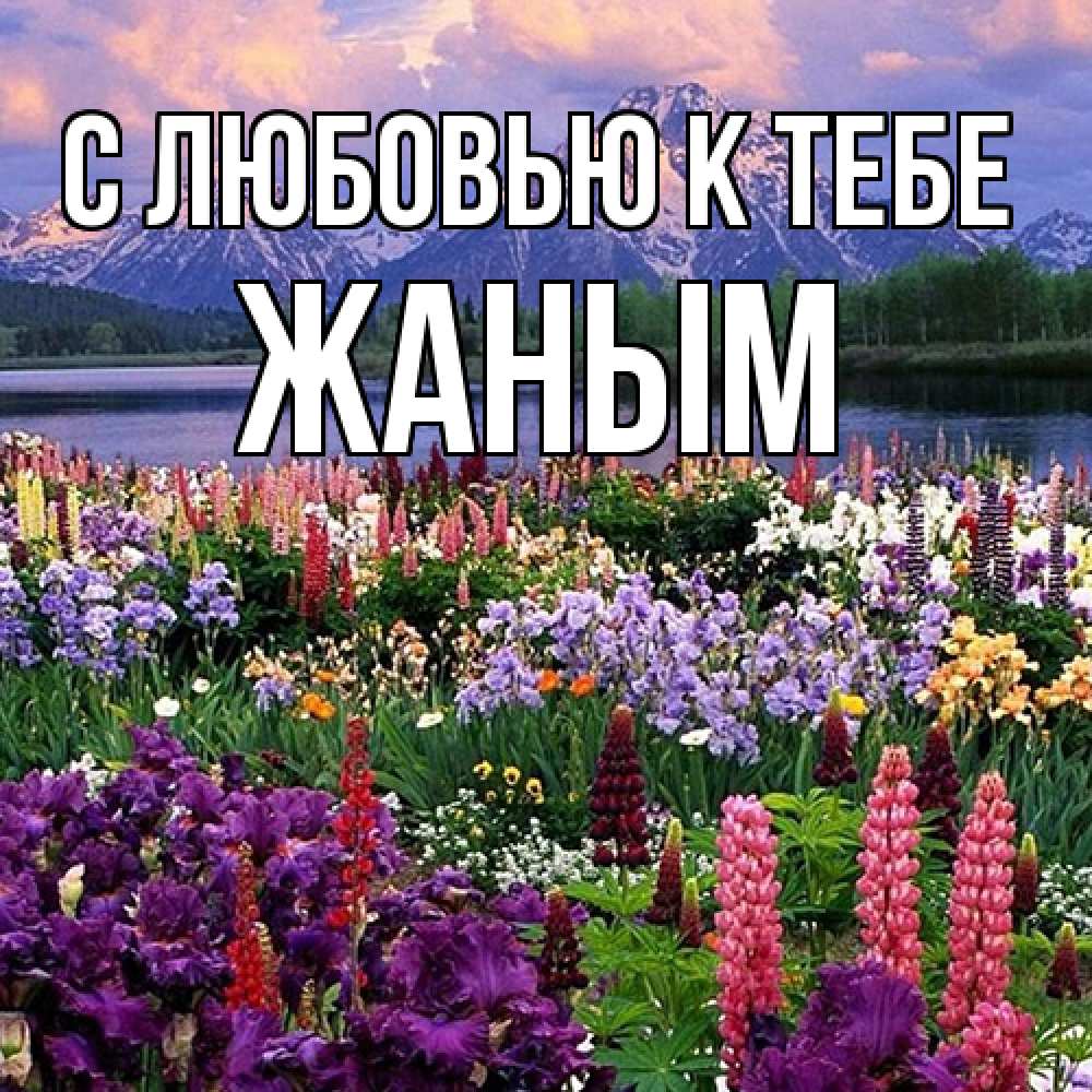 Открытка  с именем. Жаным, С любовью к тебе  