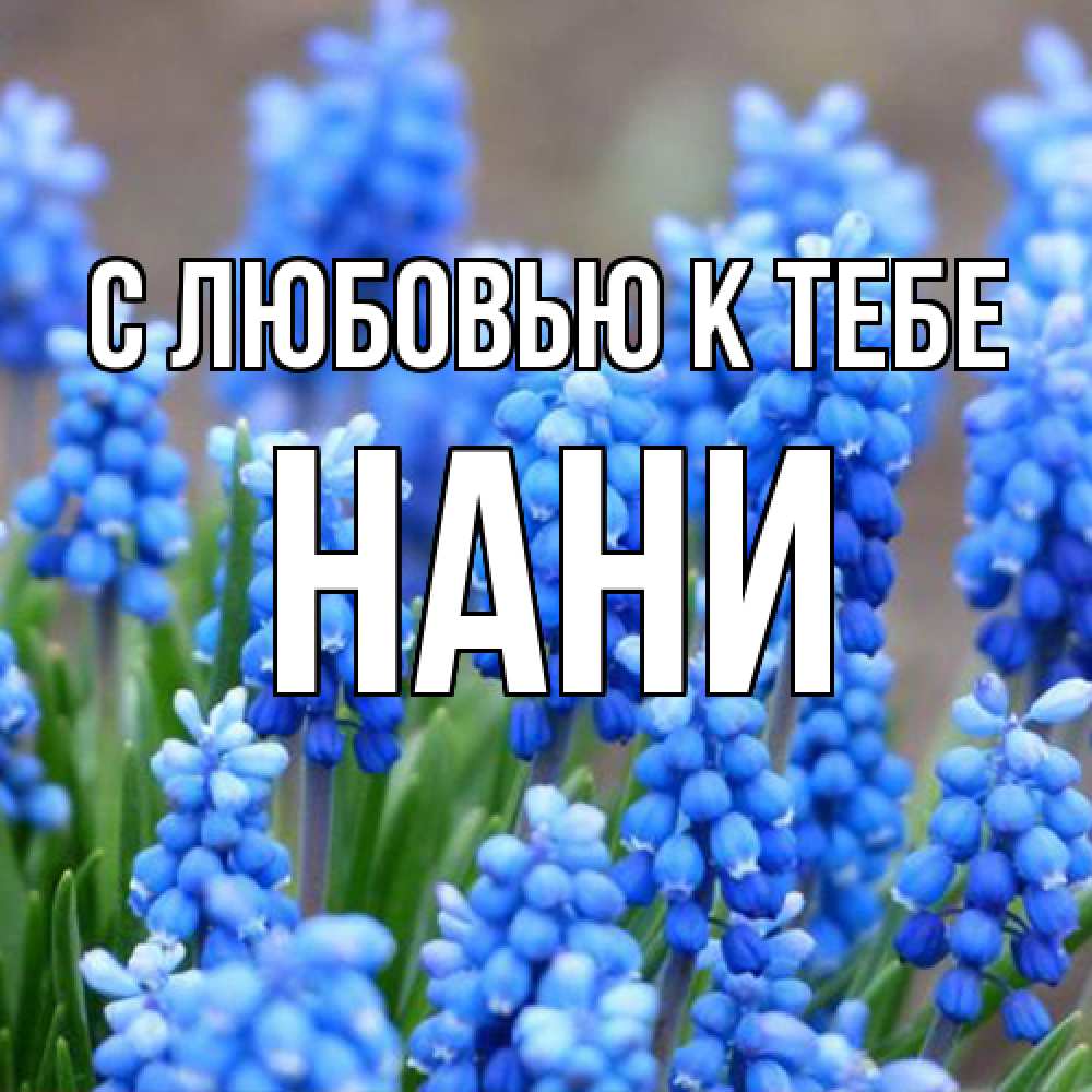 Открытка  с именем. Нани, С любовью к тебе  