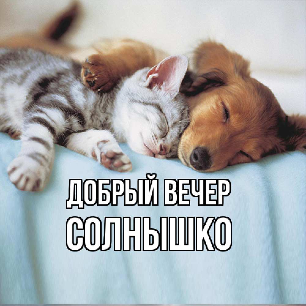 Открытка  с именем. Солнышко, Добрый вечер  