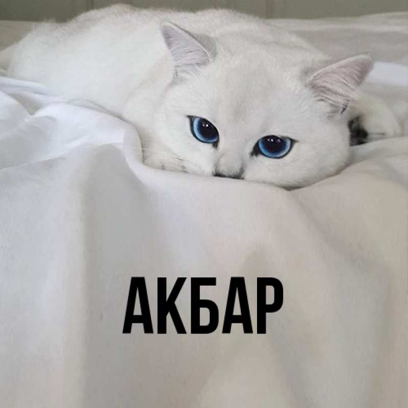 Картинка  с именем , Акбар