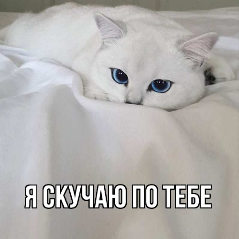 Картинка Я скучаю по тебе, 