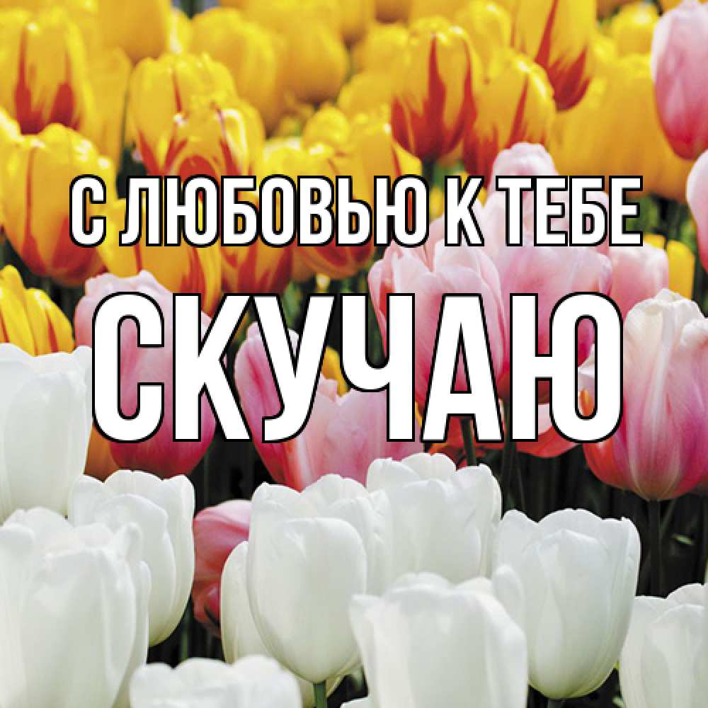 Открытка  с именем. Скучаю, С любовью к тебе  