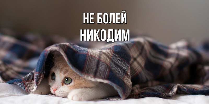 Картинка Не болей, Никодим