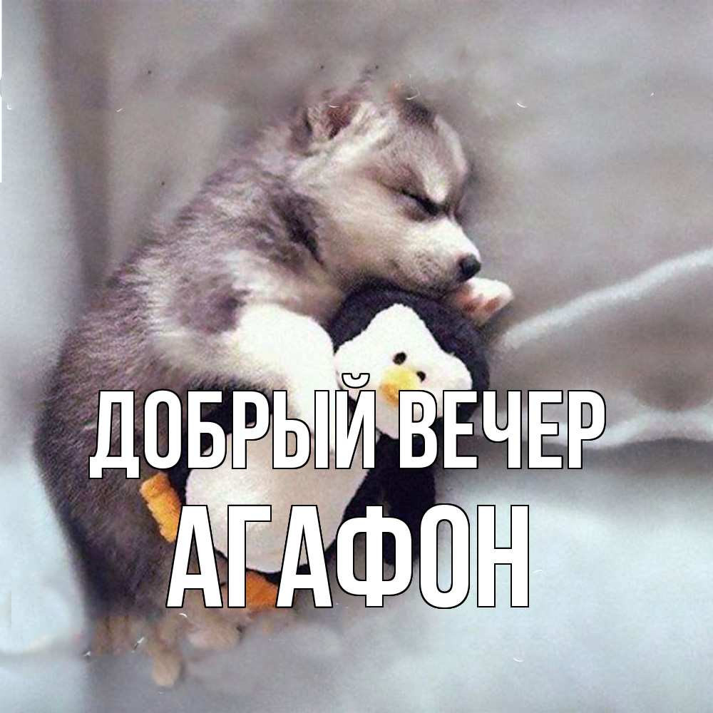 Открытка  с именем. Агафон, Добрый вечер  