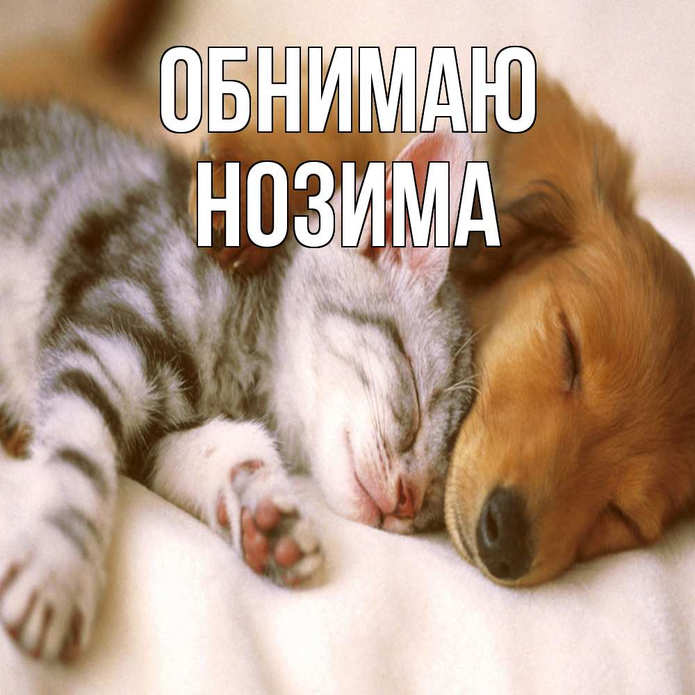 Открытка  с именем. Нозима, Обнимаю  