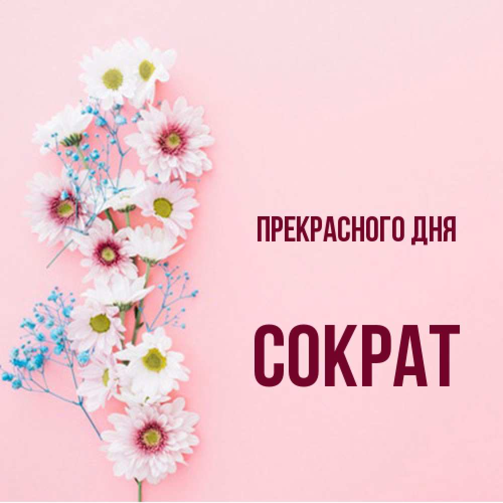 Открытка  с именем. Сократ, Прекрасного дня  