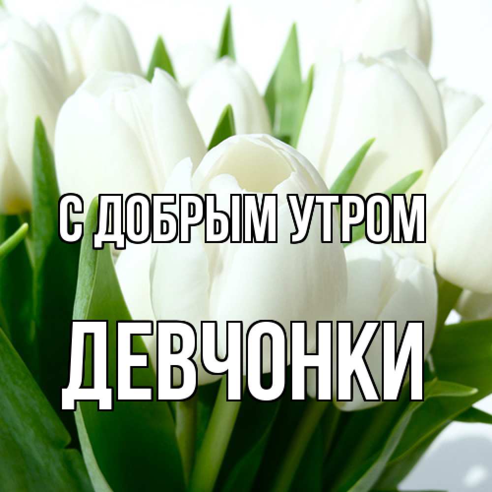 Открытка  с именем. девчонки, С добрым утром  
