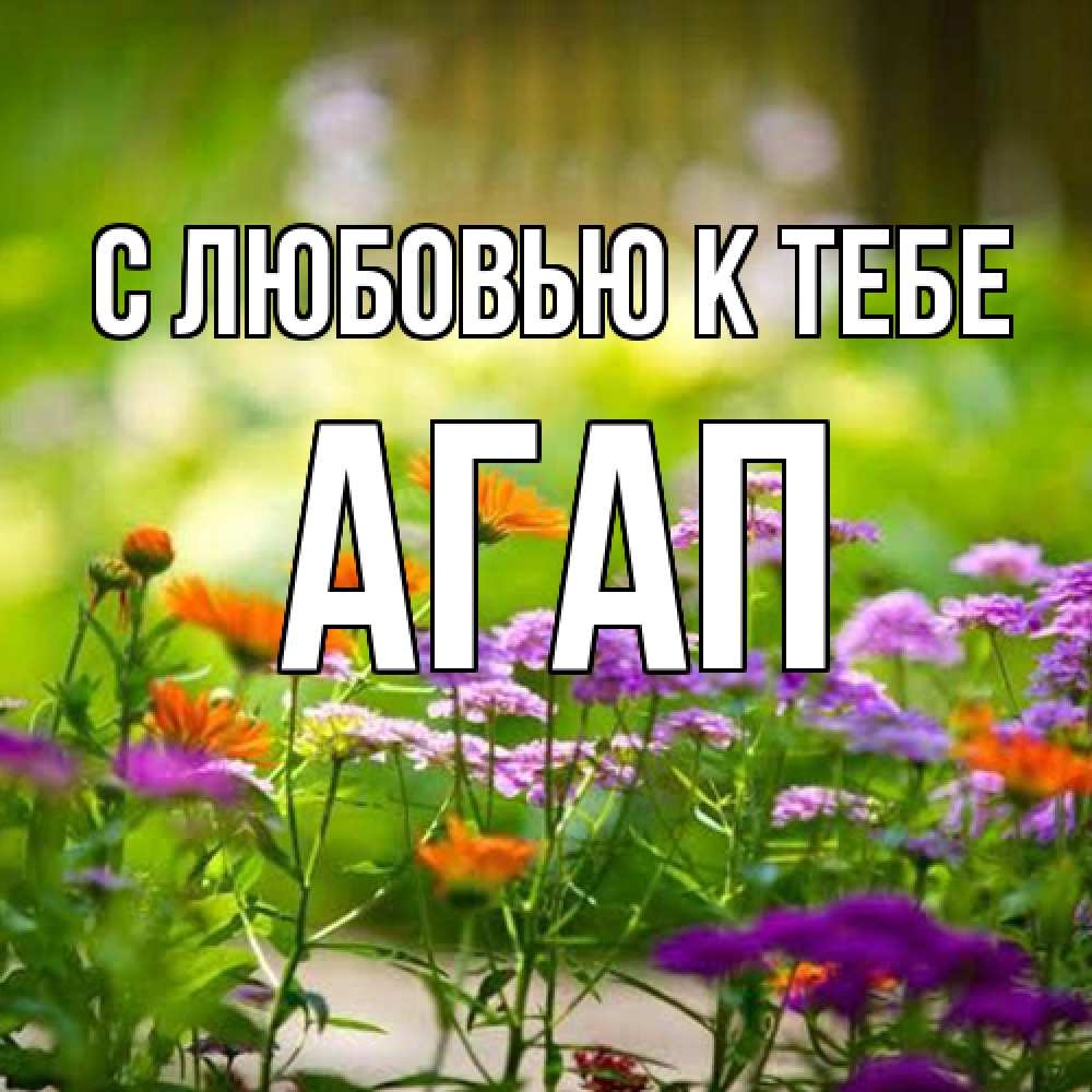 Открытка  с именем. Агап, С любовью к тебе  
