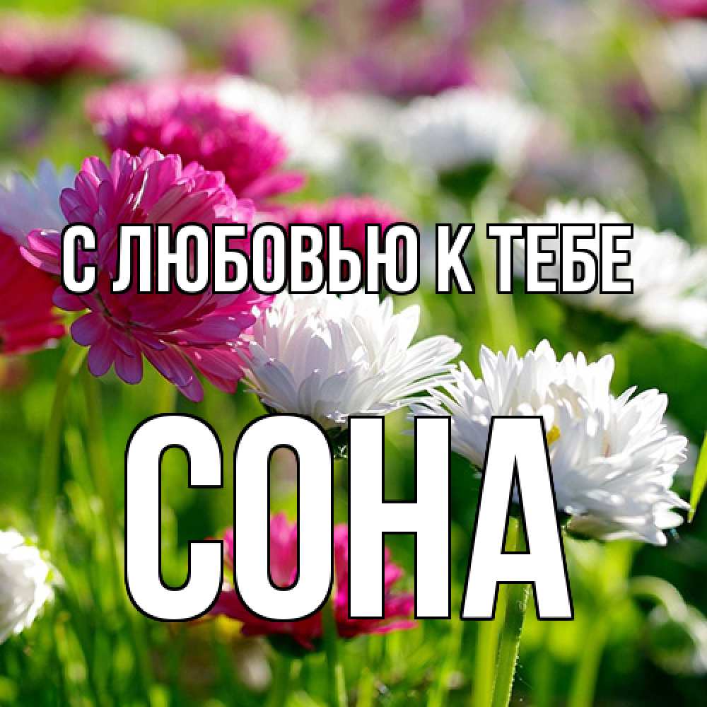 Открытка  с именем. СОНА, С любовью к тебе  