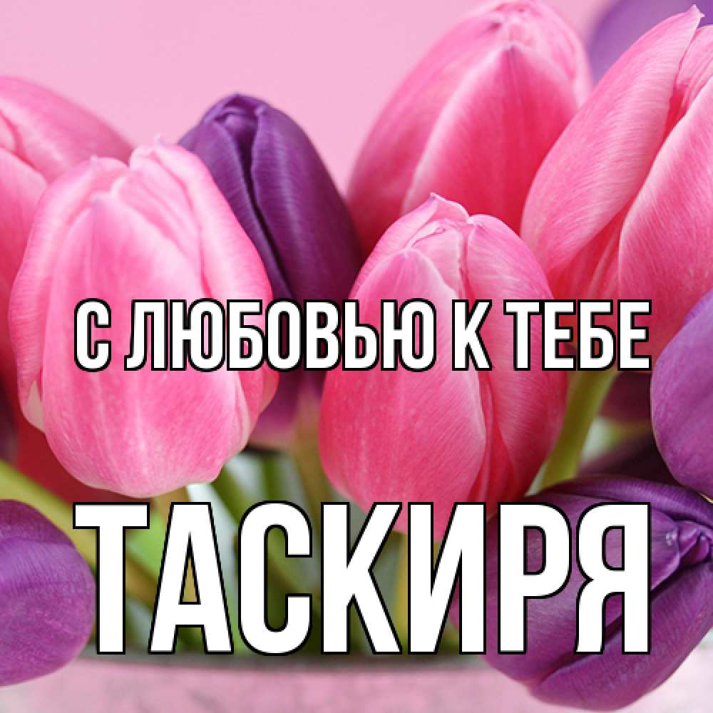 Открытка  с именем. Таскиря, С любовью к тебе  
