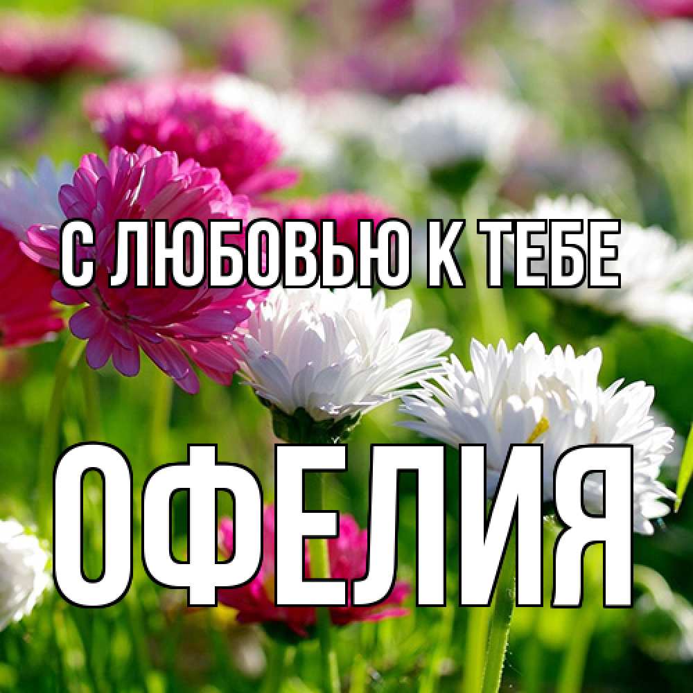 Открытка  с именем. Офелия, С любовью к тебе  