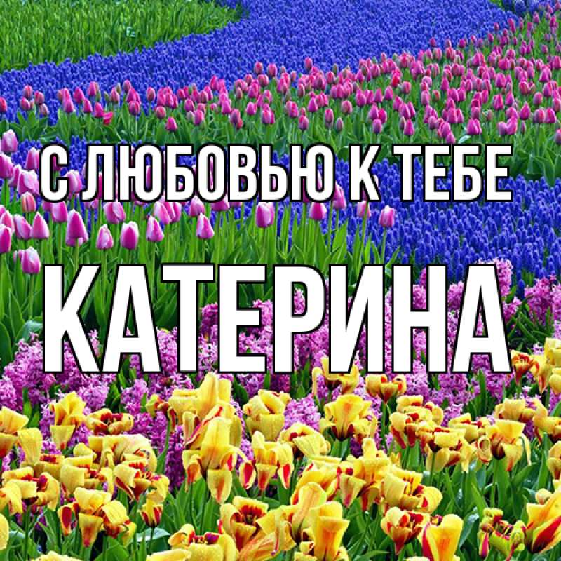Картинка С любовью к тебе, Катерина