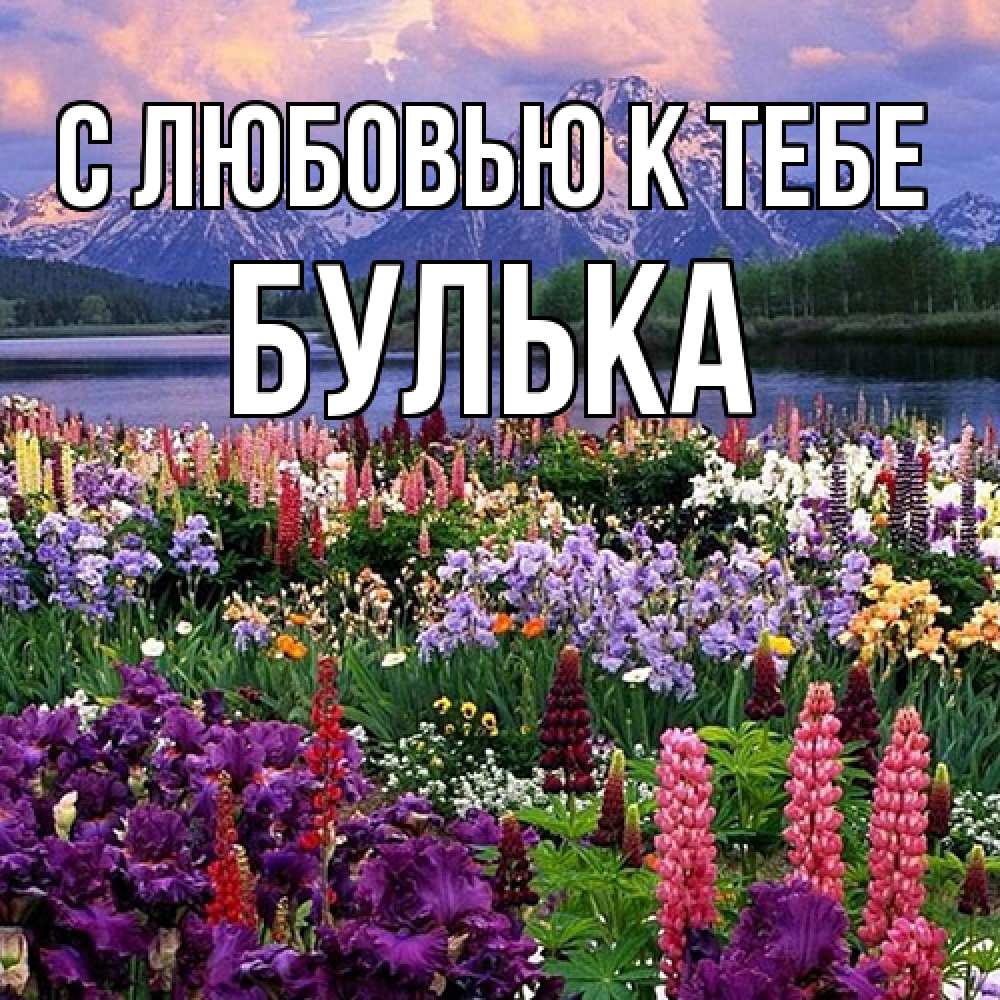 Открытка  с именем. Булька, С любовью к тебе  