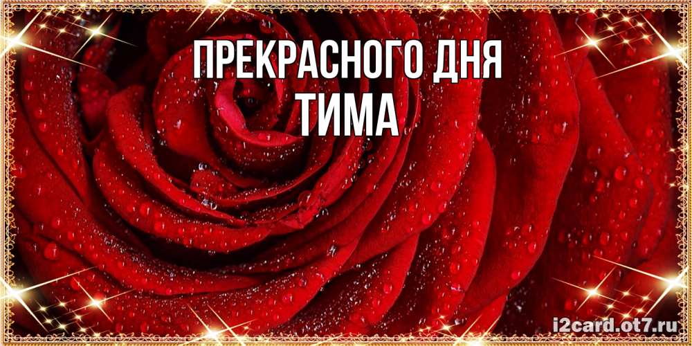 Открытка  с именем. Тима, Прекрасного дня  