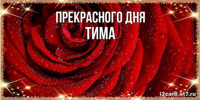 Картинка Прекрасного дня, Тима