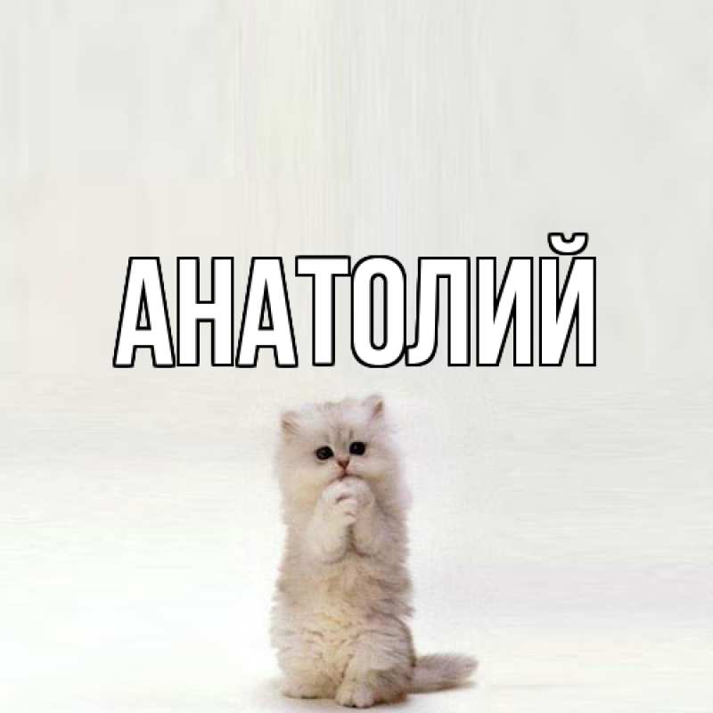Картинка  с именем , Анатолий